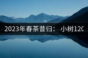 2023年春茶昔歸： 小樹(shù)1200-1600元／公斤，大樹(shù)4500-5200元／公斤，古樹(shù)7500-9000元／公斤.