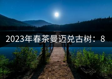 2023年春茶曼邁兌古樹：860元／Kg，小樹：180元／kg
