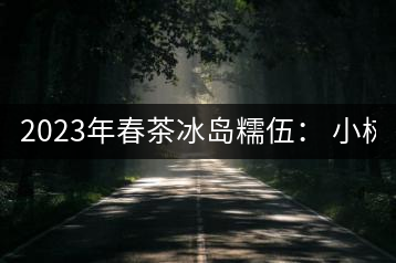 2023年春茶冰島糯伍： 小樹(shù)1300元／公斤，古樹(shù)：2100~2300元／公斤