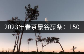 2023年春茶景谷藤條：150-350元／公斤