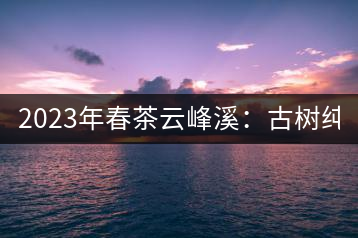 2023年春茶云峰溪：古樹純料：1200-1500元／公斤，古樹混采800-1000元／公斤，大樹500-800元／公斤，小樹300-500元／公斤
