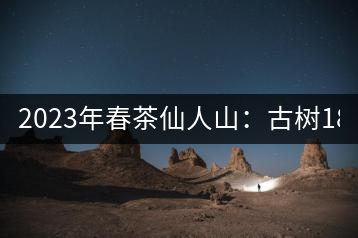 2023年春茶仙人山：古樹1800-2500元／公斤，老曼峨：小樹：600元／公斤 1600-1800元／公斤