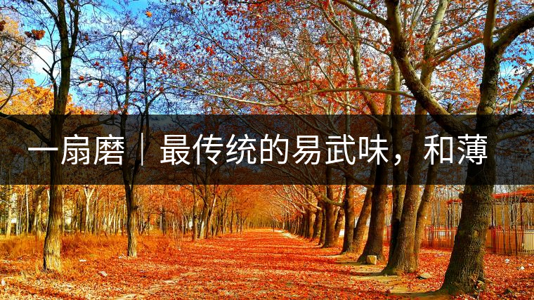 一扇磨｜最傳統(tǒng)的易武味，和薄荷塘一脈同宗，價格卻天差地別