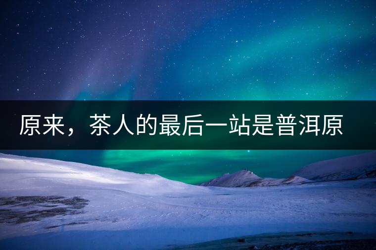 原來，茶人的最后一站是普洱原來，茶人的最后一站是普洱