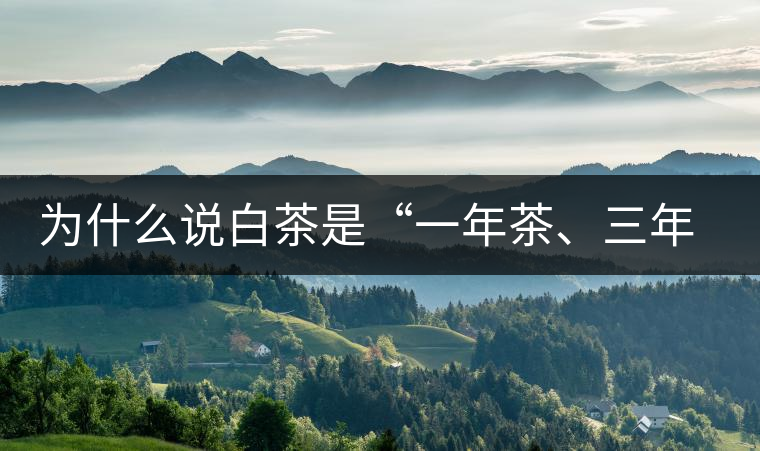 為什么說白茶是“一年茶、三年藥、七年寶”?為什么說白茶是“一年茶、三年藥、七年寶”？