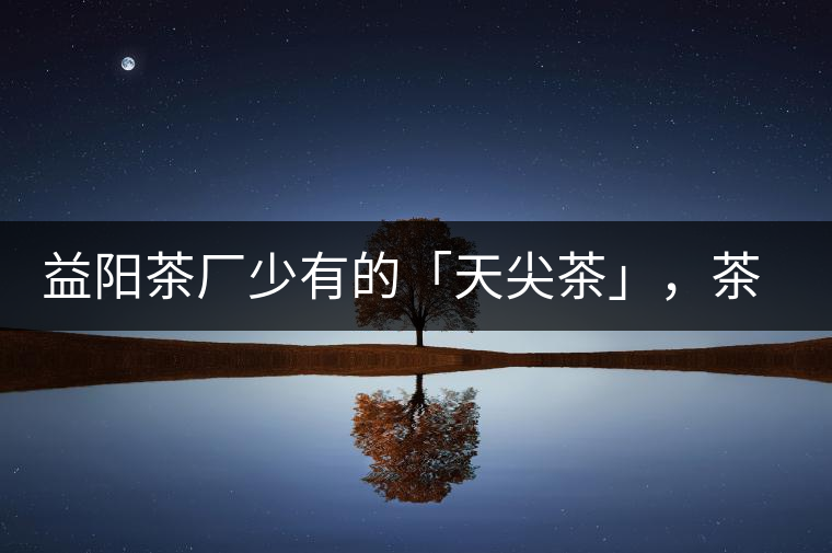 益陽茶廠少有的「天尖茶」，茶品升級，收藏趁早！