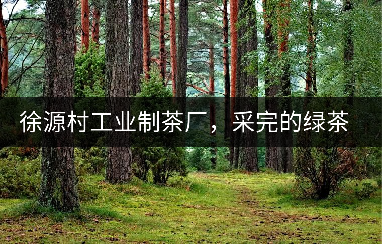 徐源村工業(yè)制茶廠(chǎng)，采完的綠茶都要拿到茶廠(chǎng)加工