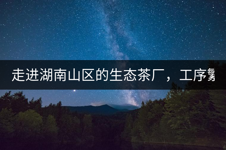 走進(jìn)湖南山區(qū)的生態(tài)茶廠，工序繁雜精細(xì)，538塊錢1斤真值走進(jìn)湖南山區(qū)的生態(tài)茶廠，工序繁雜精細(xì)，538塊錢1斤真值