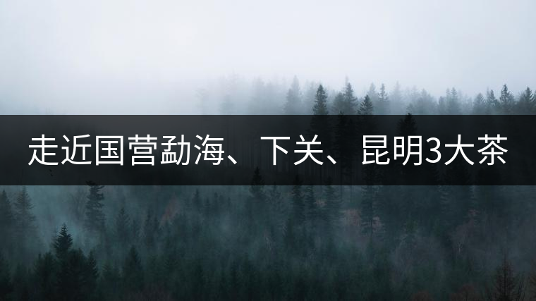 走近國營勐海、下關(guān)、昆明3大茶廠，傳世代表作的發(fā)展詳...走近國營勐海、下關(guān)、昆明3大茶廠，傳世代表作的發(fā)展詳解