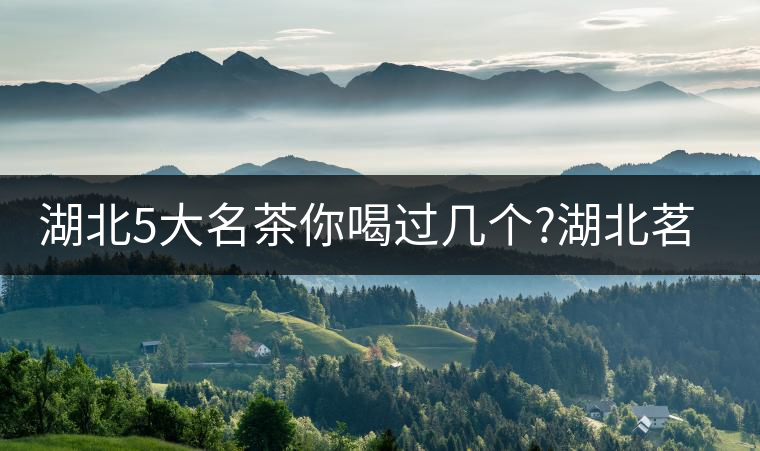 湖北5大名茶你喝過幾個?湖北茗茶的歷史故事?湖北茶哪...湖北5大名茶你喝過幾個？湖北茗茶的歷史故事？湖北茶哪個產(chǎn)地好