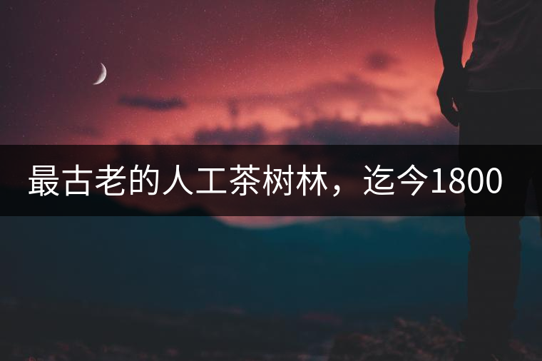 最古老的人工茶樹林，迄今1800年歷史，將申報(bào)世界文...最古老的人工茶樹林，迄今1800年歷史，將申報(bào)世界文化遺產(chǎn)