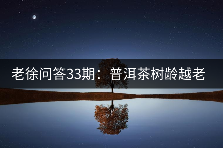 老徐問答33期：普洱茶樹齡越老越貴，那100年樹齡的老班章呢？