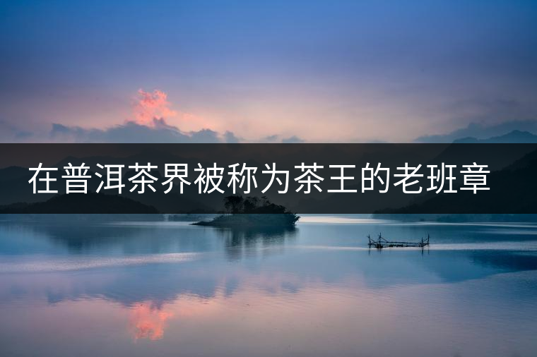 在普洱茶界被稱為茶王的老班章，為何有人愛有人恨？