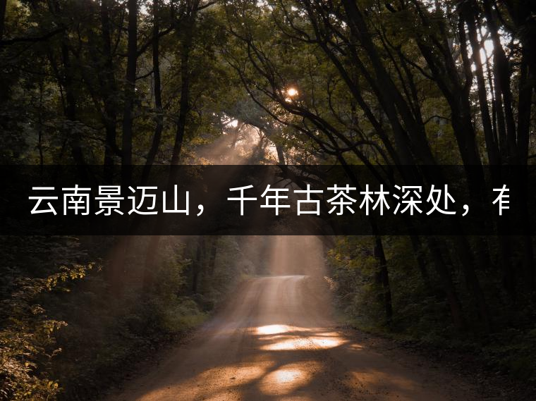 云南景邁山，千年古茶林深處，有一座世外桃源般的糯...云南景邁山，千年古茶林深處，有一座世外桃源般的糯干古寨