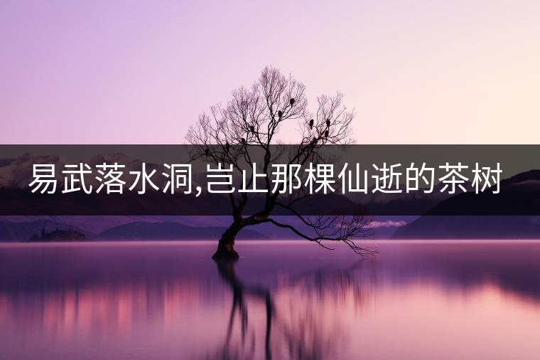 易武落水洞,豈止那棵仙逝的茶樹王?易武落水洞,豈止那棵仙逝的茶樹王？