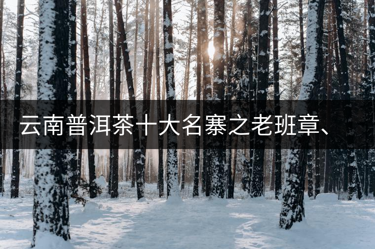 云南普洱茶十大名寨之老班章、那卡、冰島、刮風(fēng)寨、彎弓特點(diǎn)介紹
