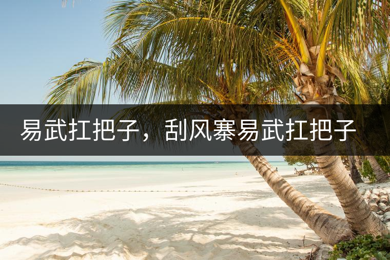 易武扛把子，刮風(fēng)寨易武扛把子，刮風(fēng)寨