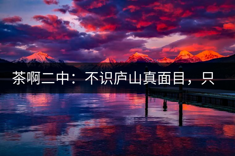 茶啊二中：不識(shí)廬山真面目，只識(shí)彎弓射大雕，賈淳真搞笑