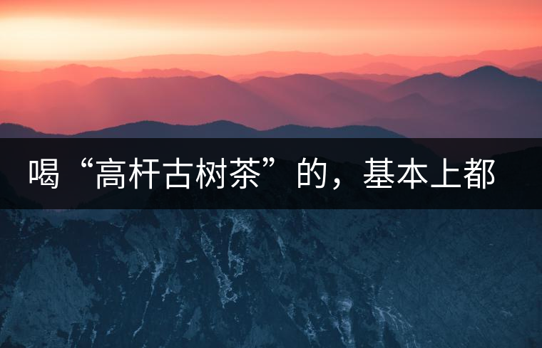 喝“高桿古樹茶”的，基本上都是不懂茶的