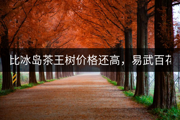 比冰島茶王樹價(jià)格還高，易武百花潭高桿古樹茶以100萬成...比冰島茶王樹價(jià)格還高，易武百花潭高桿古樹茶以100萬成交