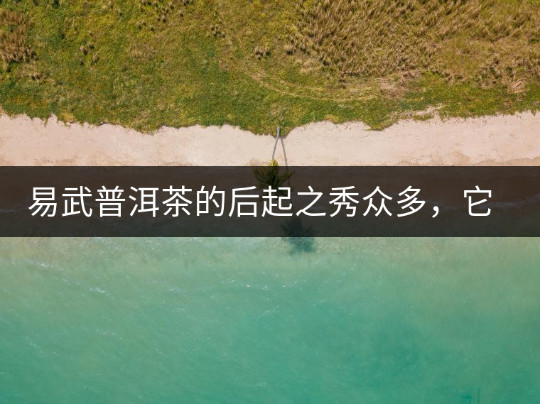 易武普洱茶的后起之秀眾多，它是還沒漲價的一個！