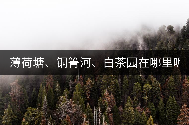 薄荷塘、銅箐河、白茶園在哪里呢?薄荷塘、銅箐河、白茶園在哪里呢？