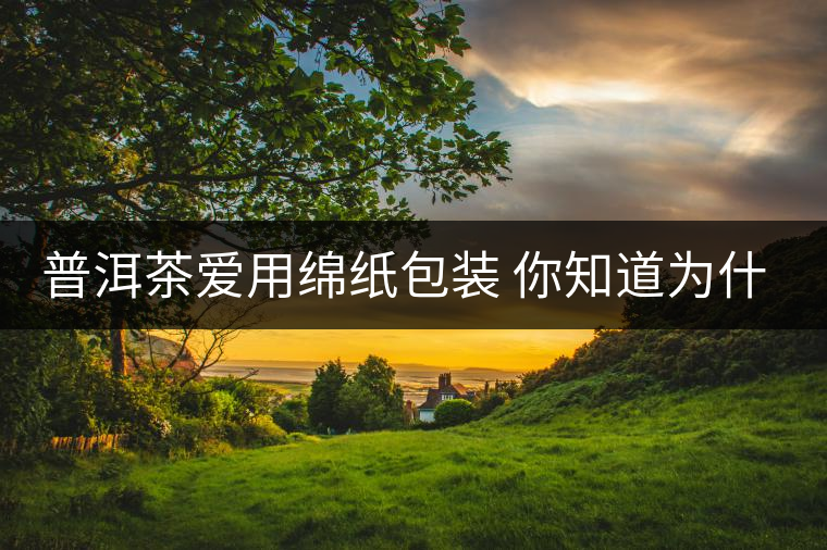 普洱茶愛(ài)用綿紙包裝 你知道為什么嗎普洱茶愛(ài)用綿紙包裝 你知道為什么嗎