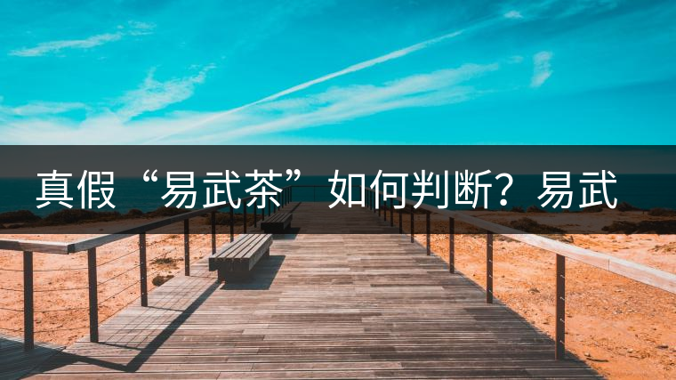 真假“易武茶”如何判斷？易武普洱茶有哪些特點(diǎn)？
