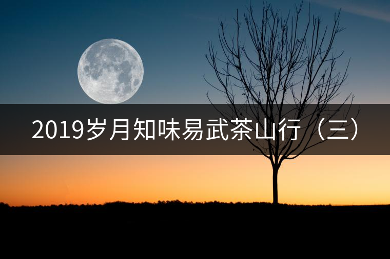 2019歲月知味易武茶山行（三）