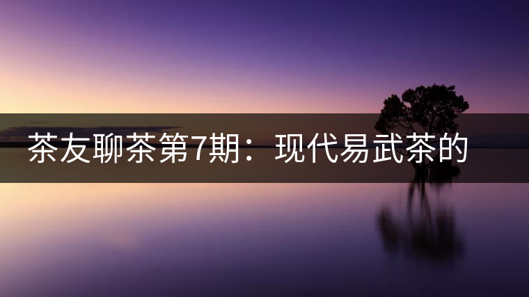 茶友聊茶第7期：現(xiàn)代易武茶的發(fā)起者，普洱茶史重量級人物—張毅