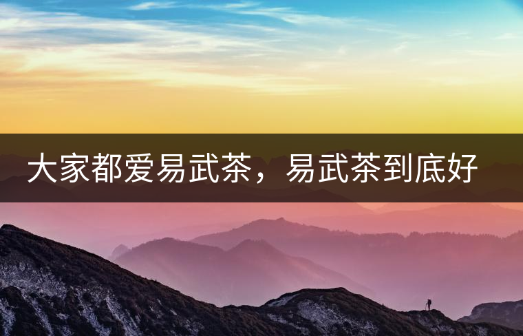 大家都愛(ài)易武茶，易武茶到底好在哪兒?大家都愛(ài)易武茶，易武茶到底好在哪兒？