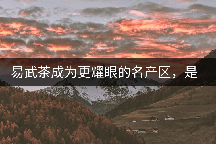 易武茶成為更耀眼的名產(chǎn)區(qū)，是歷史的回歸，是未來(lái)市場(chǎng)的必然導(dǎo)向