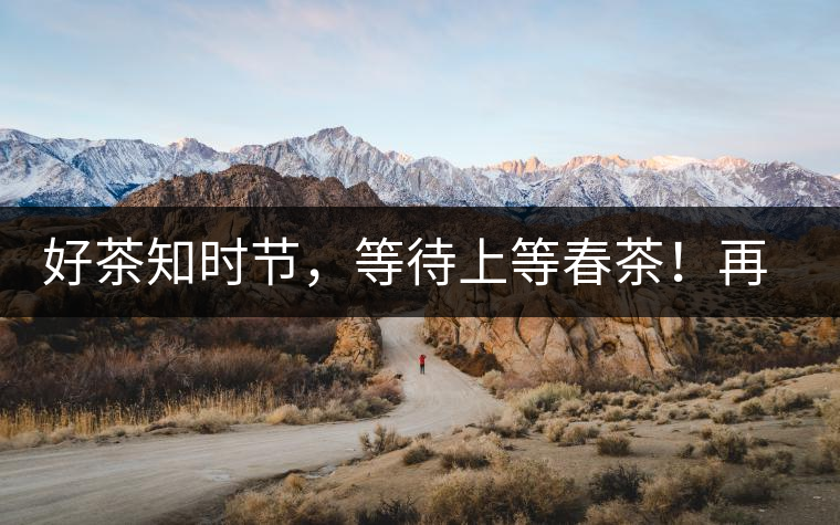 好茶知時(shí)節(jié)，等待上等春茶！再來(lái)回味這些年喝過(guò)的小戶賽古樹春茶