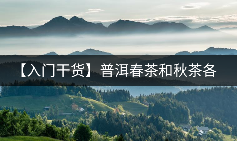 【入門干貨】普洱春茶和秋茶各有什么特點(diǎn)？怎樣辨識(shí)？