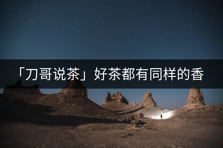 「刀哥說茶」好茶都有同樣的香，破茶卻有不同的味