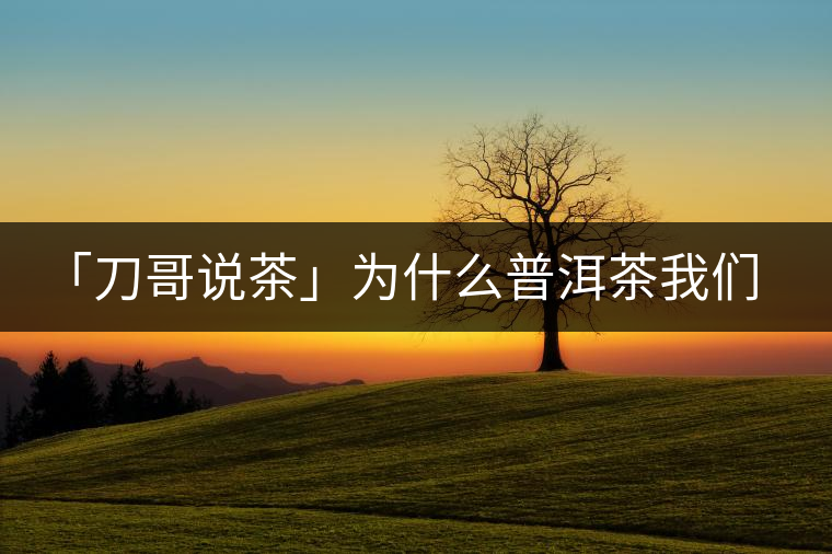 「刀哥說(shuō)茶」為什么普洱茶我們情愿選三無(wú)？