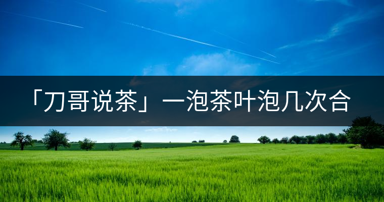 「刀哥說茶」一泡茶葉泡幾次合適?「刀哥說茶」一泡茶葉泡幾次合適？
