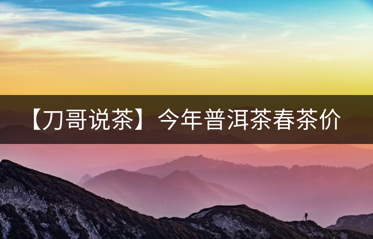 【刀哥說茶】今年普洱茶春茶價格，我不預測