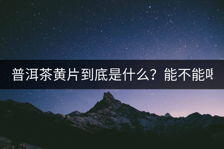普洱茶黃片到底是什么？能不能喝？
