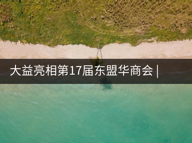 大益亮相第17屆東盟華商會(huì) | 海內(nèi)外嘉賓共謀發(fā)展，共品大益茶