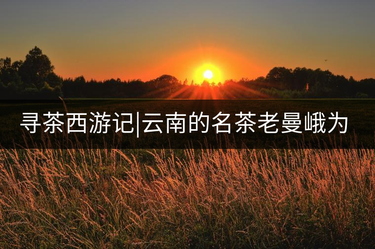 尋茶西游記|云南的名茶老曼峨為什么這么多人愛，這里...尋茶西游記｜云南的名茶老曼峨為什么這么多人愛，這里給你答案！
