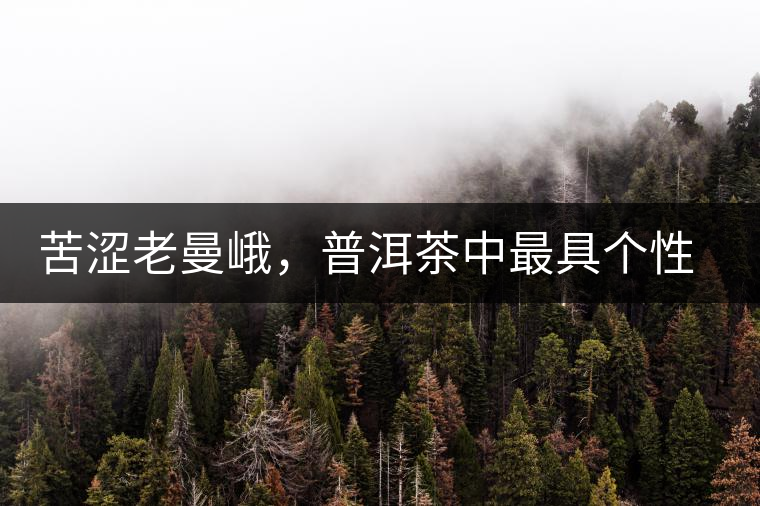 苦澀老曼峨，普洱茶中最具個性的“布朗味”苦澀老曼峨，普洱茶中最具個性的“布朗味”