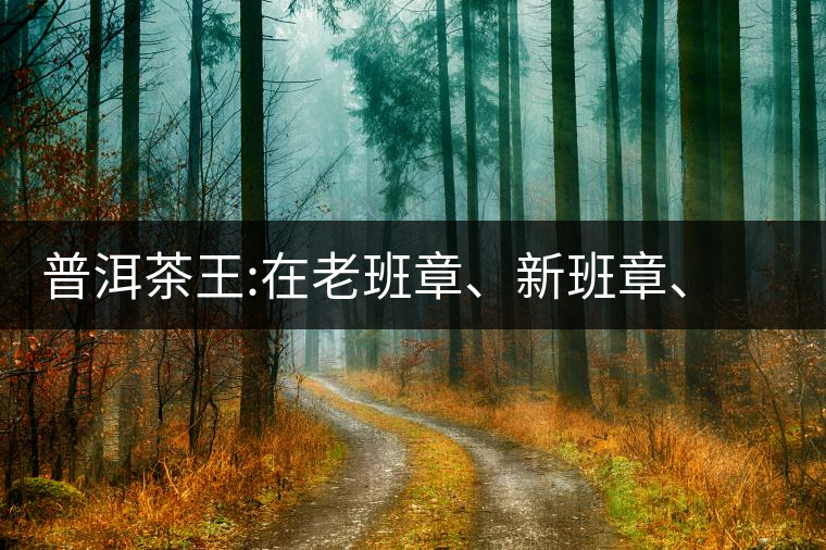 普洱茶王:在老班章、新班章、老曼峨之間普洱茶王：在老班章、新班章、老曼峨之間