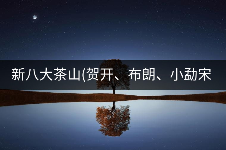 新八大茶山(賀開、布朗、小勐宋、巴達)講解二新八大茶山（賀開、布朗、小勐宋、巴達）講解二