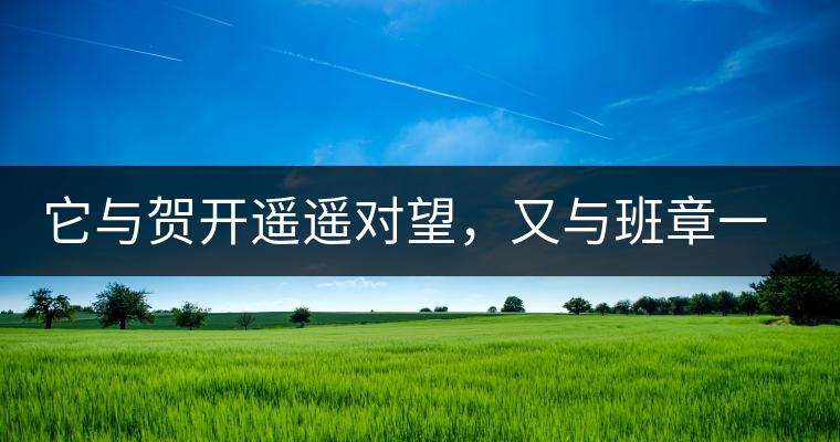 它與賀開遙遙對(duì)望，又與班章一衣帶水，它是班盆古樹春尖它與賀開遙遙對(duì)望，又與班章一衣帶水，它是班盆古樹春尖