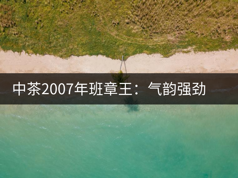中茶2007年班章王：氣韻強(qiáng)勁，蜂蜜水般甜潤，一直被老茶客撿漏