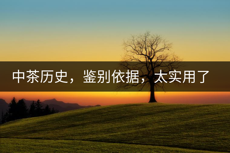 中茶歷史，鑒別依據(jù)，太實用了中茶歷史，鑒別依據(jù)，太實用了