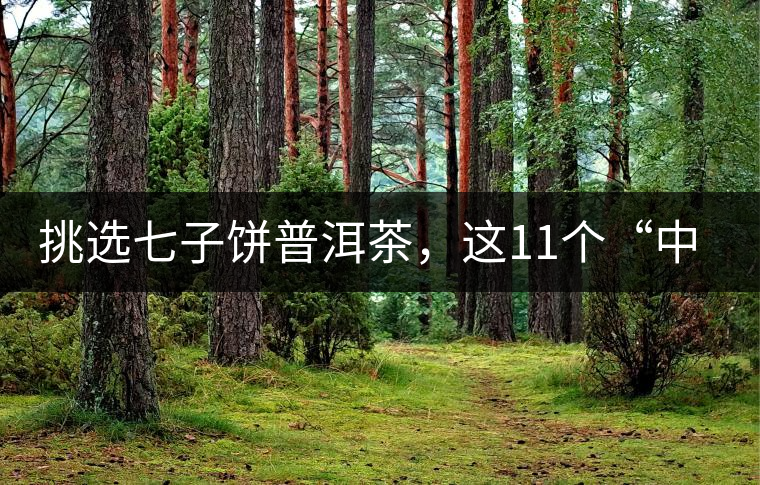 挑選七子餅普洱茶，這11個(gè)“中茶”標(biāo)志千萬(wàn)別弄混!挑選七子餅普洱茶，這11個(gè)“中茶”標(biāo)志千萬(wàn)別弄混！