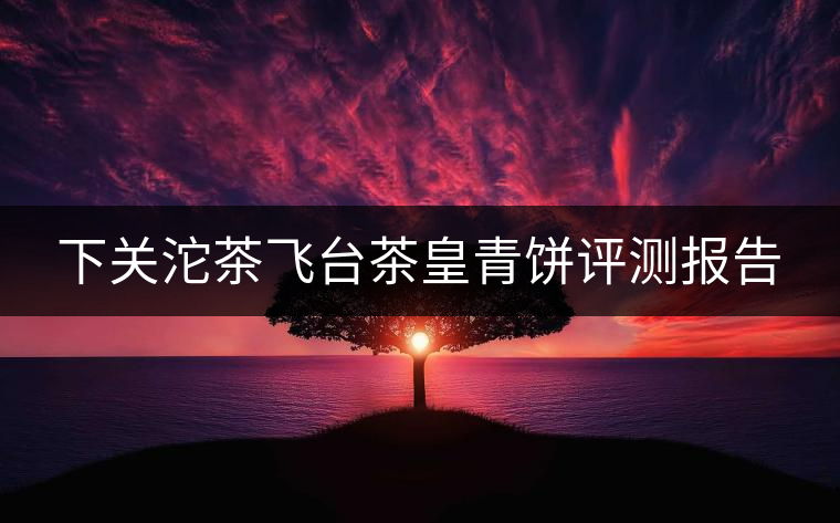 下關(guān)沱茶飛臺(tái)茶皇青餅評(píng)測報(bào)告