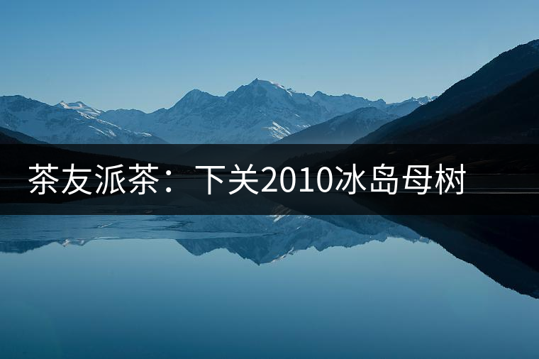 茶友派茶：下關(guān)2010冰島母樹，挺甜的，母樹是個什么概念？